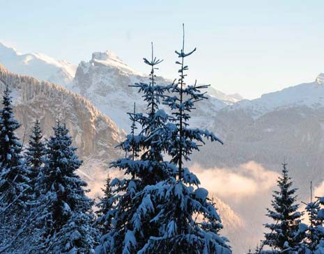 La Ferme d'Henriette gite Samoens